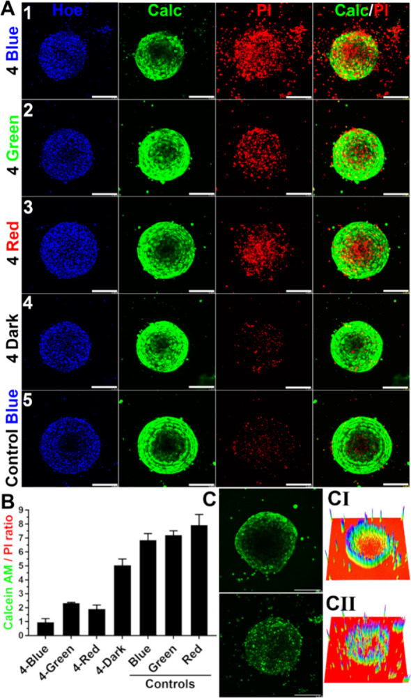 Figure 10