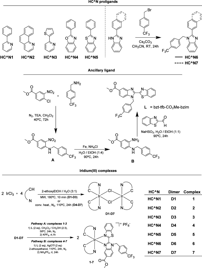 Figure 11
