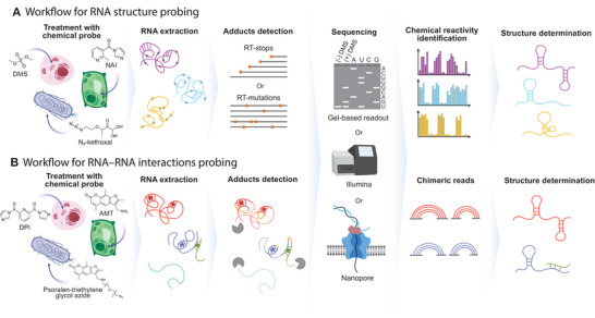 Figure 22