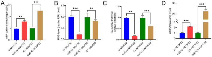 Figure 6