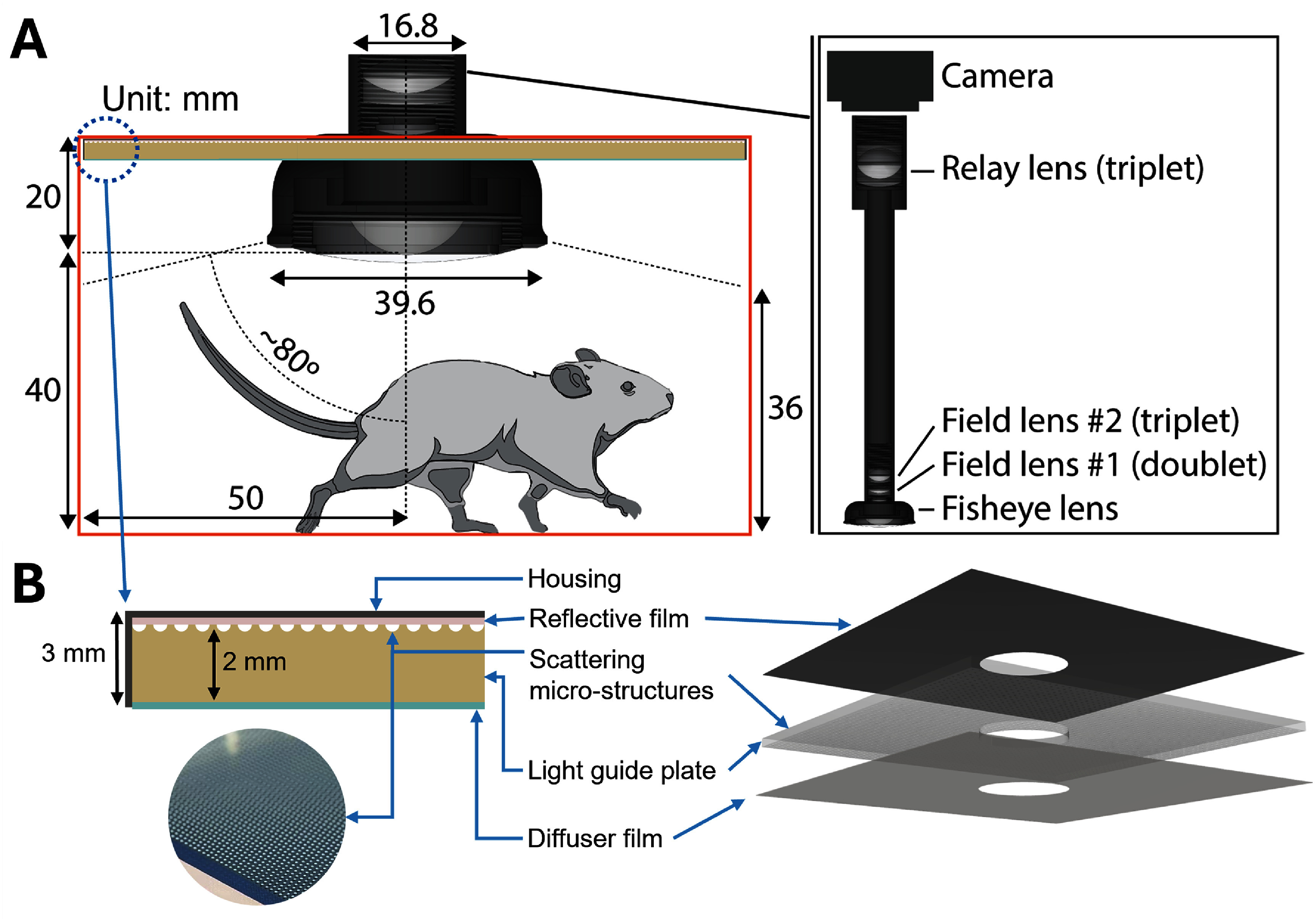 Figure 12