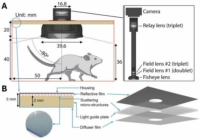 Figure 13
