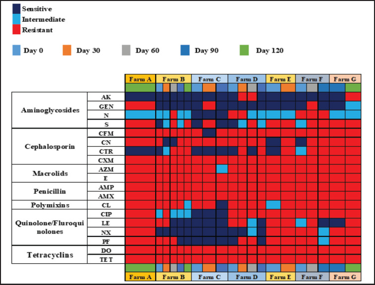 Figure 5