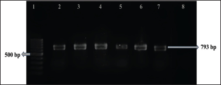 Figure 7