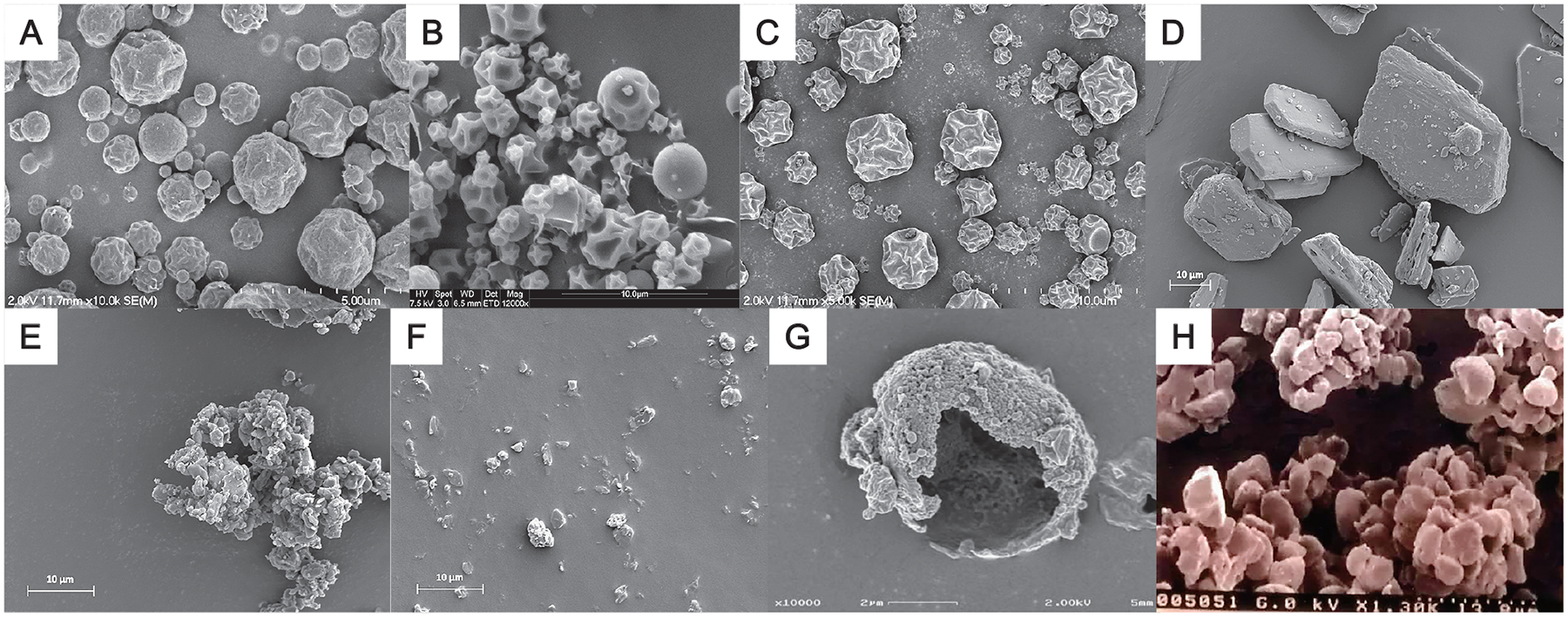 Figure 5