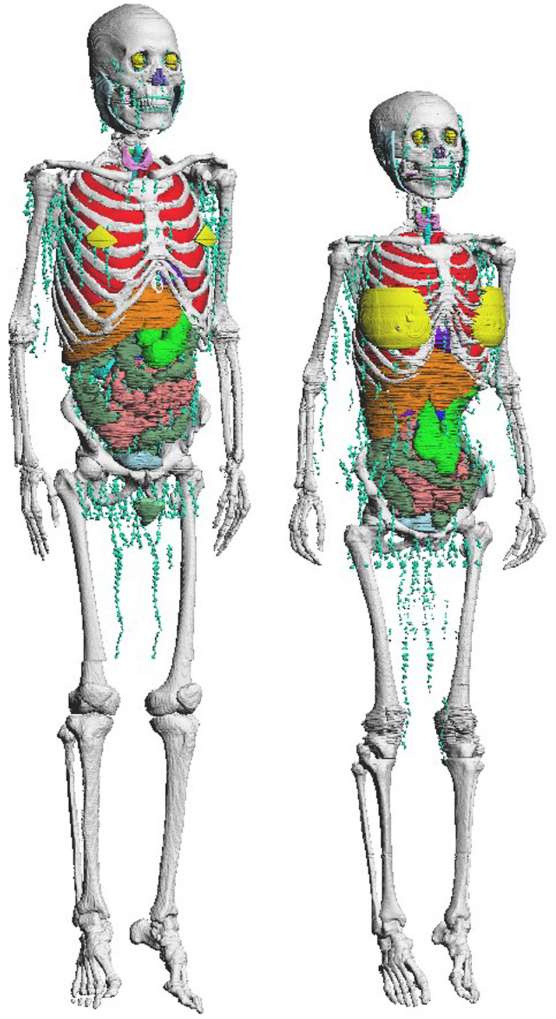 Fig 1