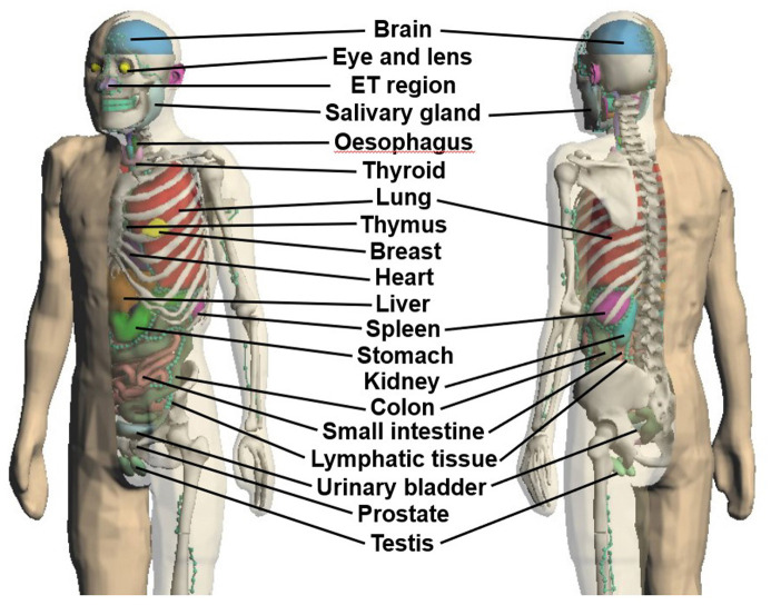 Fig 2