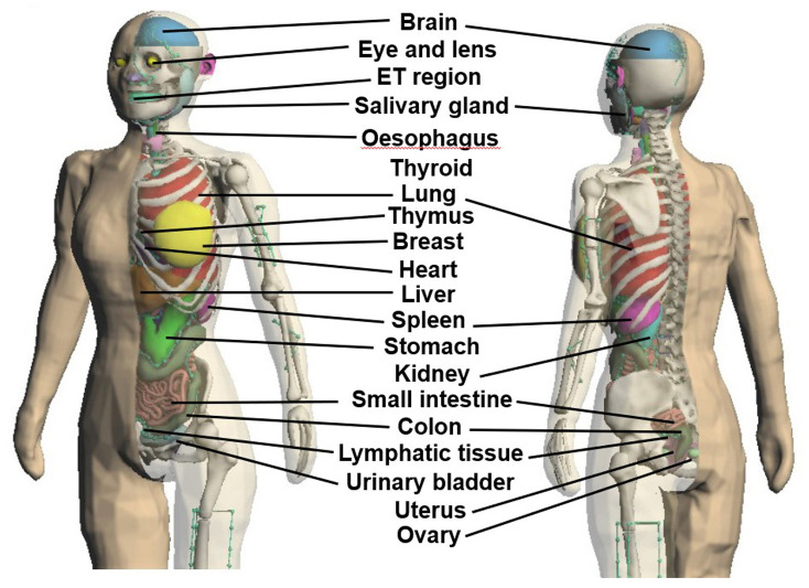 Fig 3