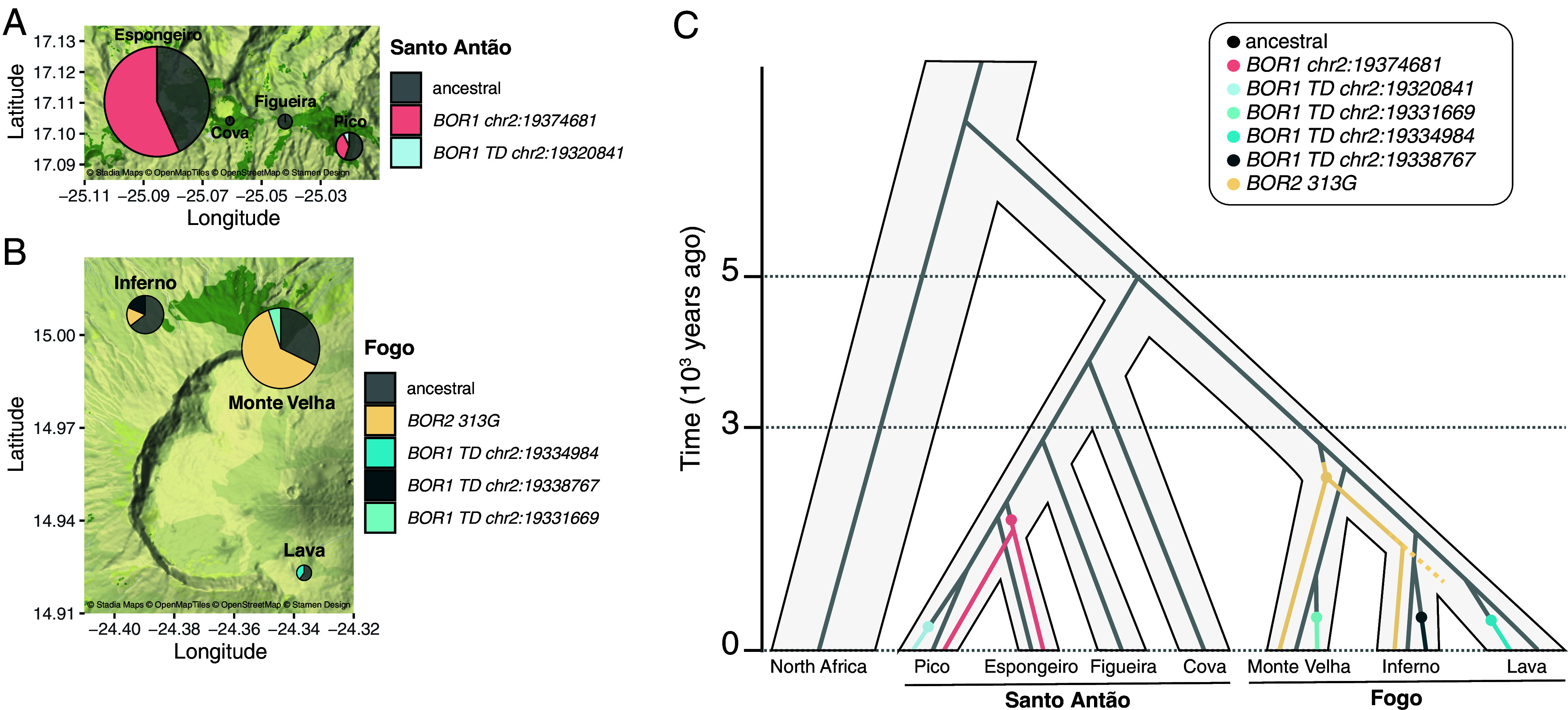 Fig. 6
