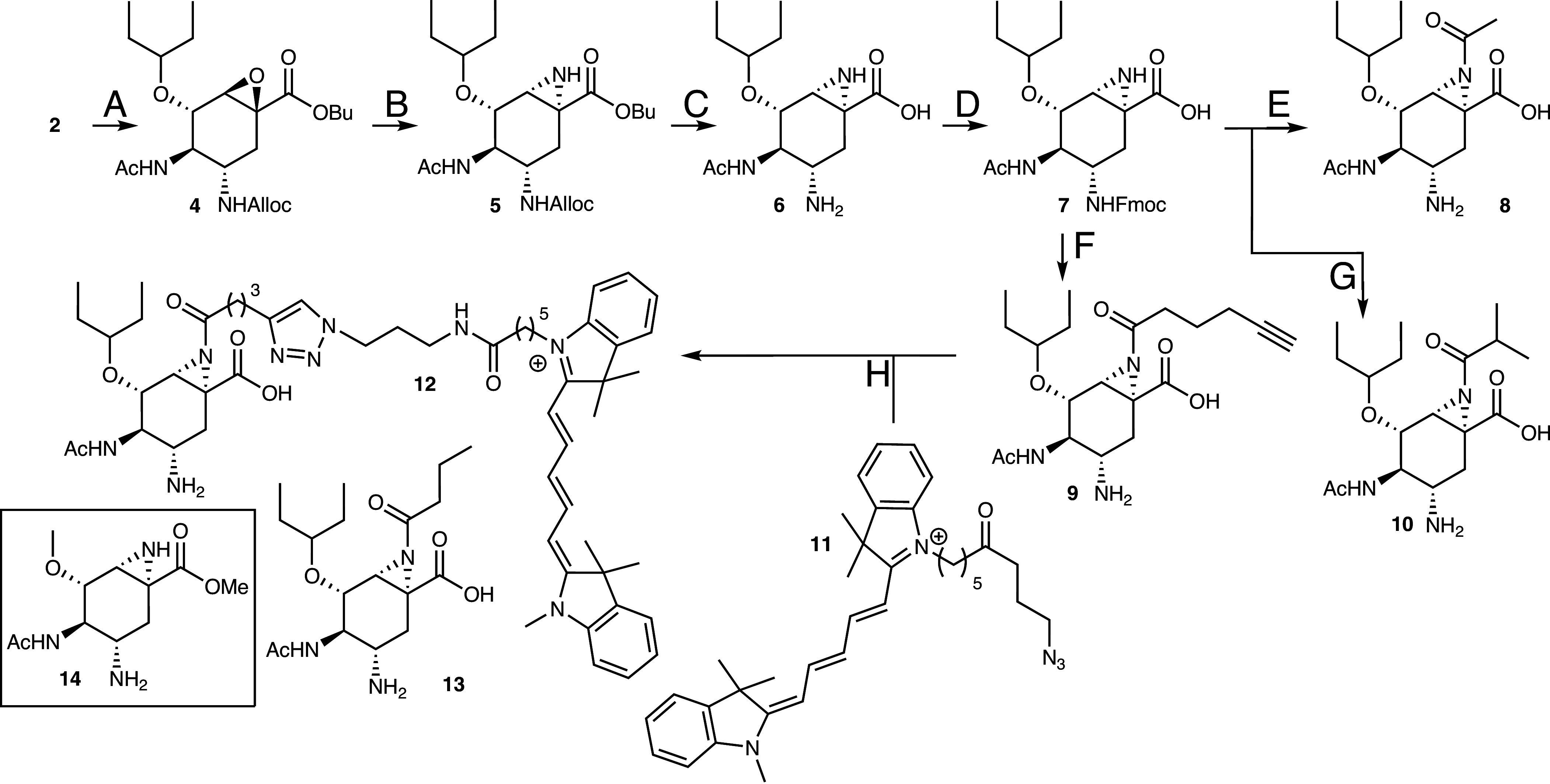 Scheme 1