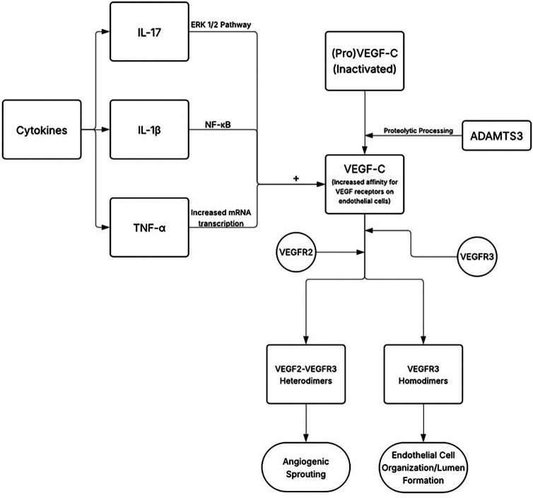 Figure 5