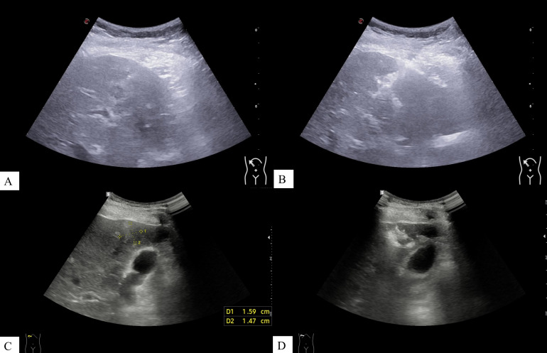 Figure 4