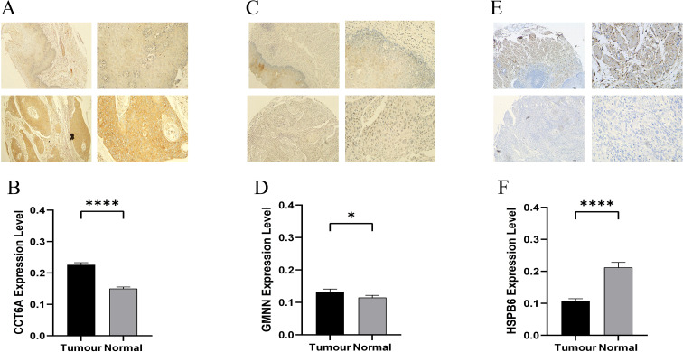 Figure 11