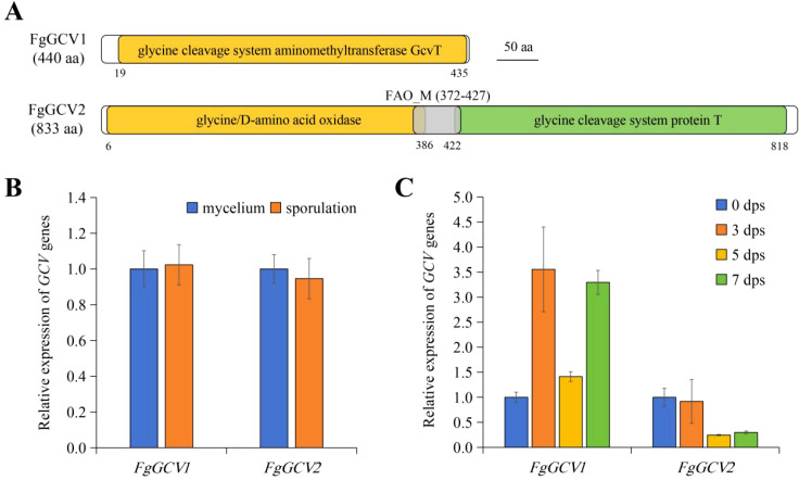 Figure 2