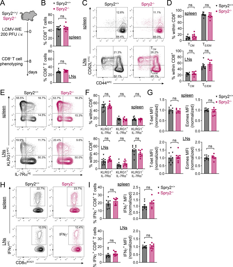 Figure 5