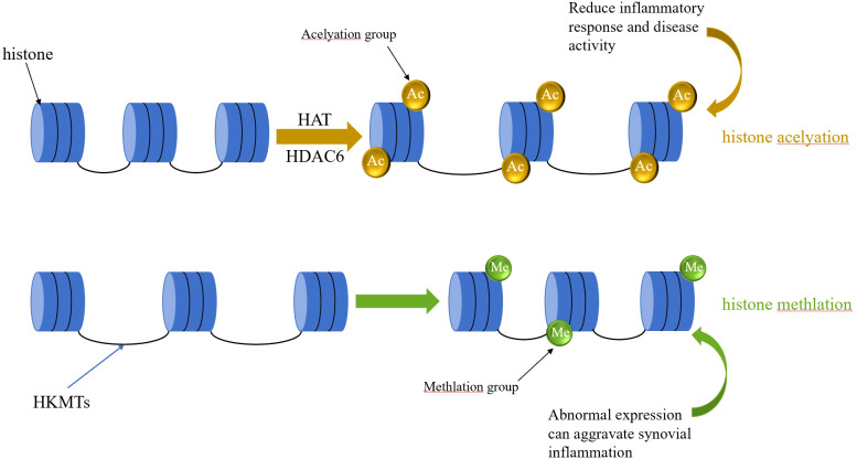 Figure 5