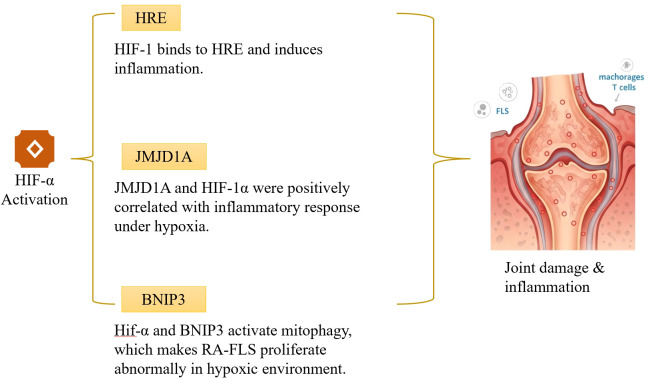 Figure 6