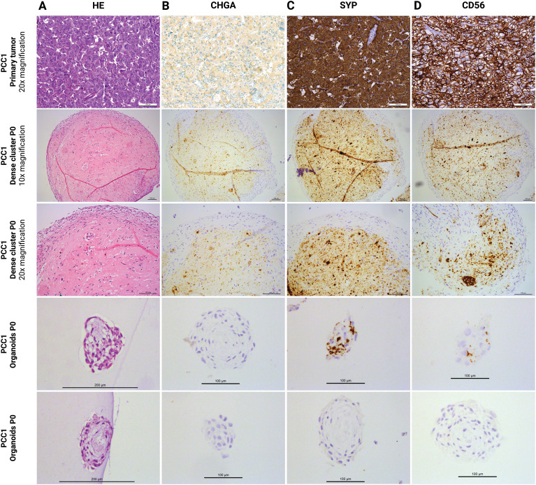 Figure 4