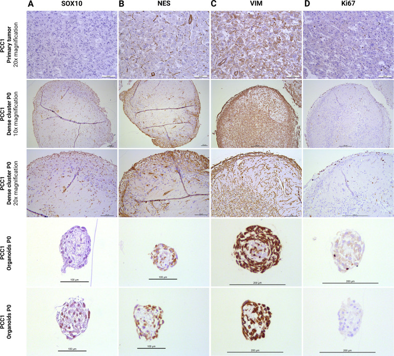 Figure 5