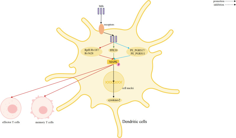 Figure 5