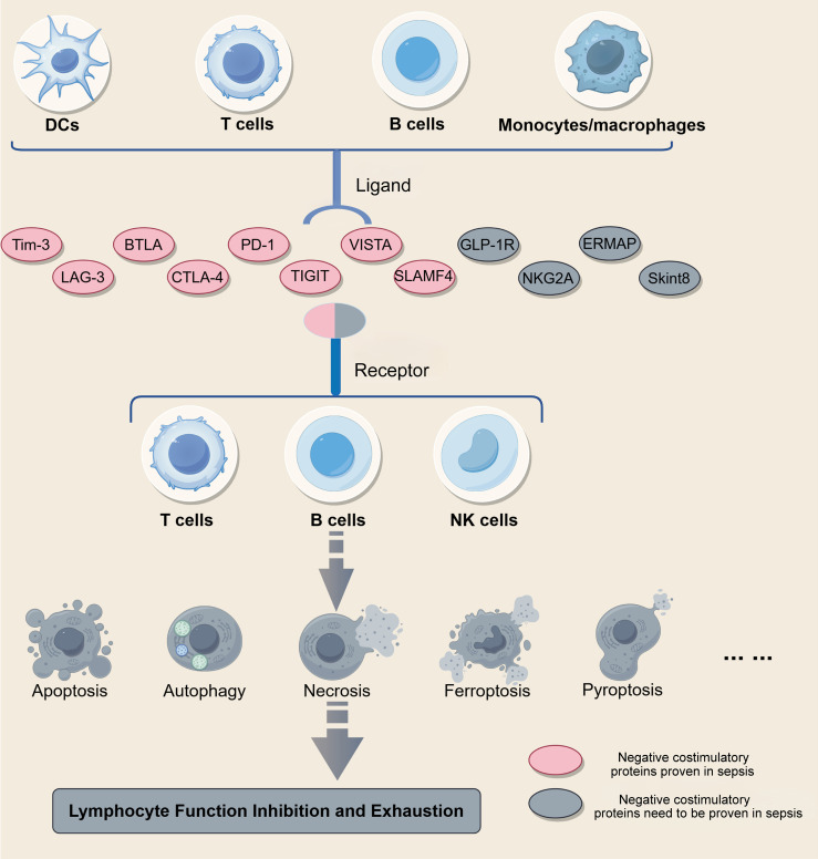 Figure 4