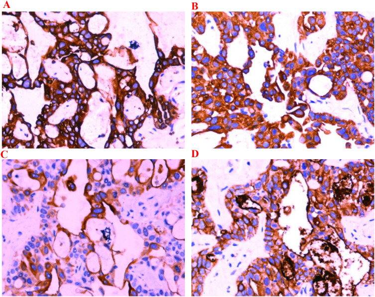 Figure 3