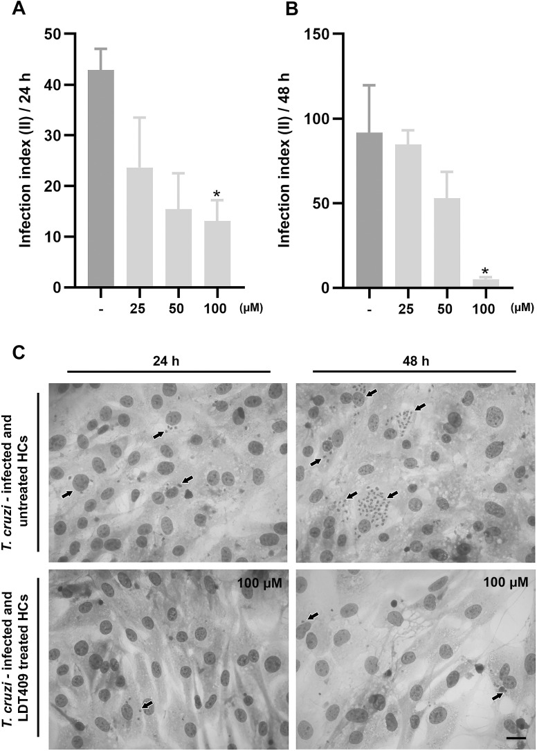Figure 2