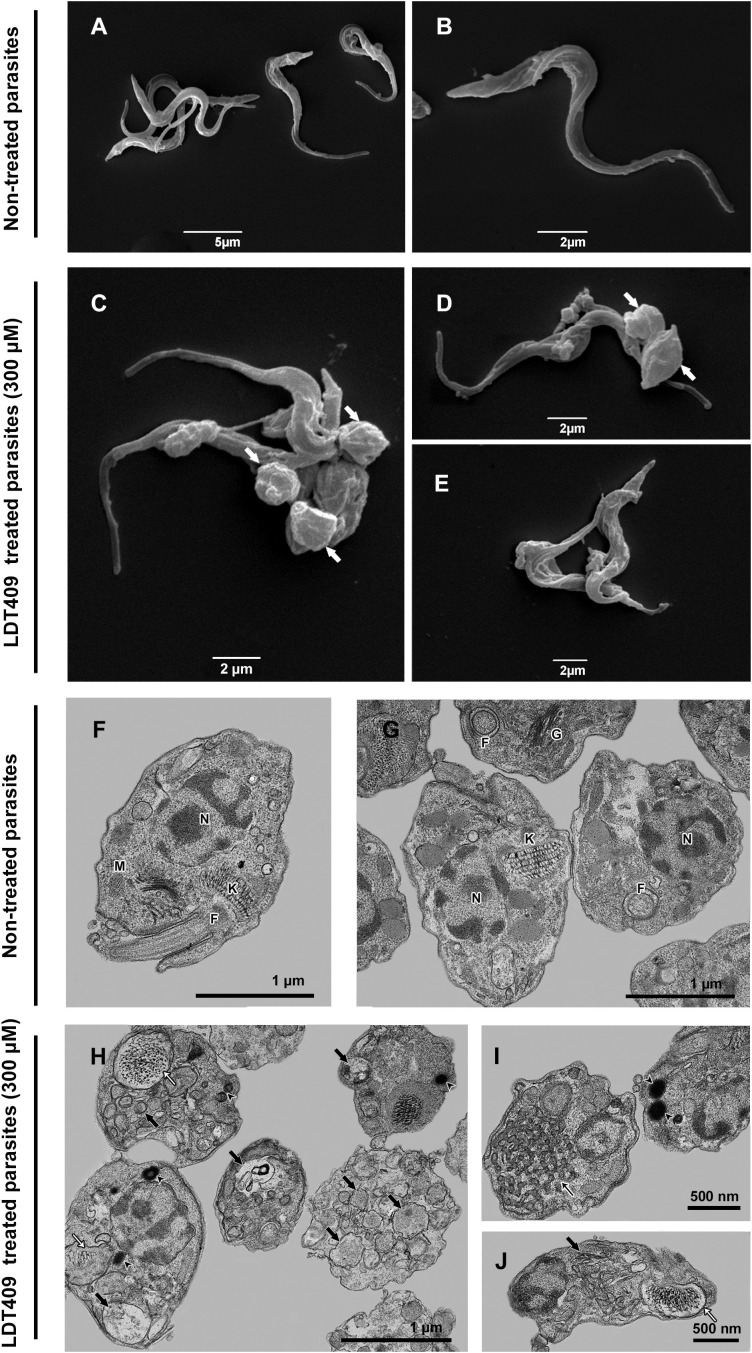 Figure 3