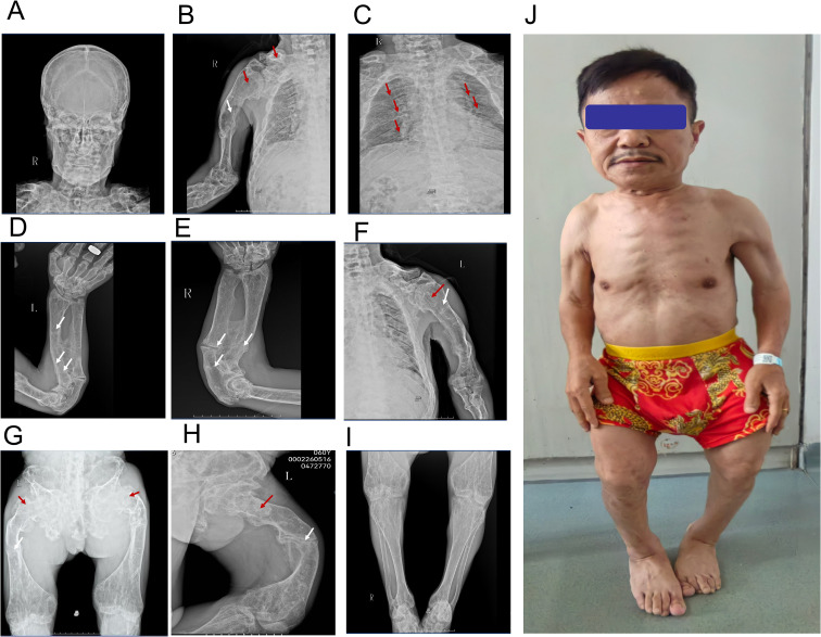Figure 1