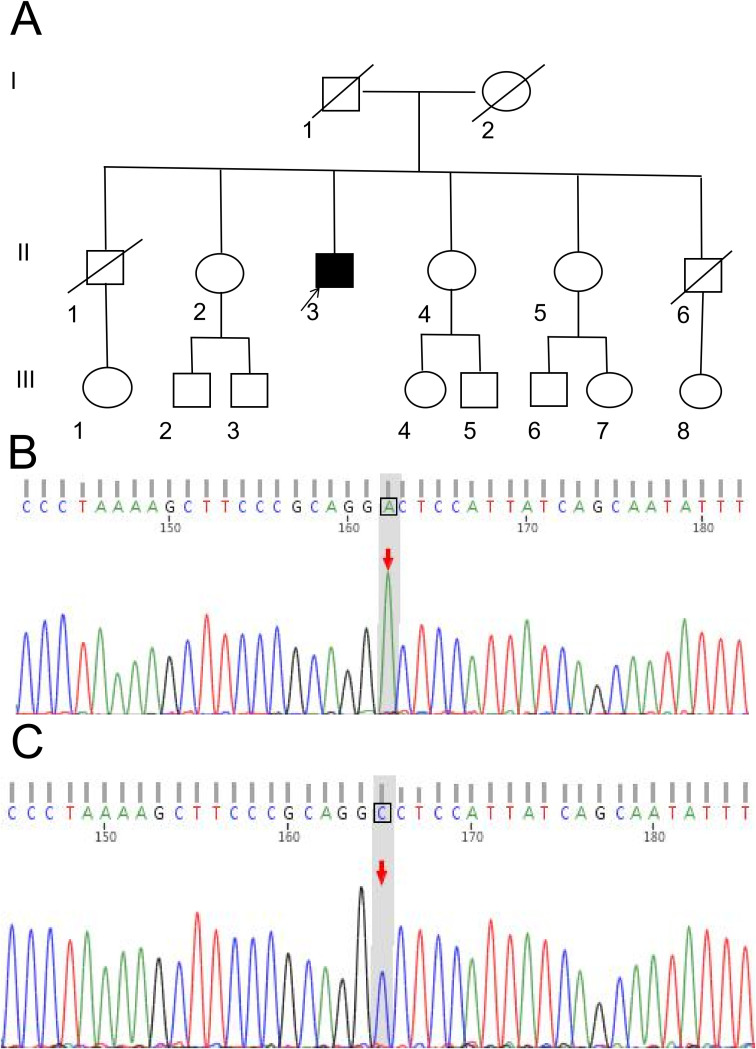 Figure 3