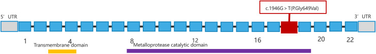 Figure 4