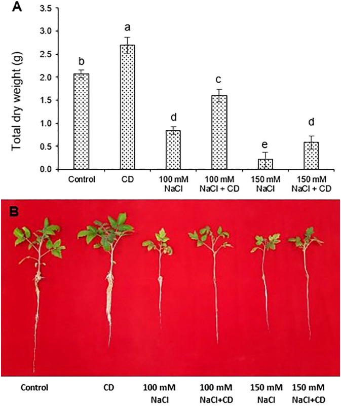Figure 4