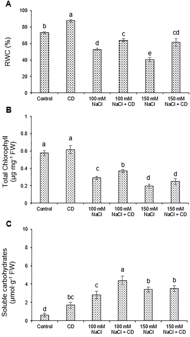 Figure 5