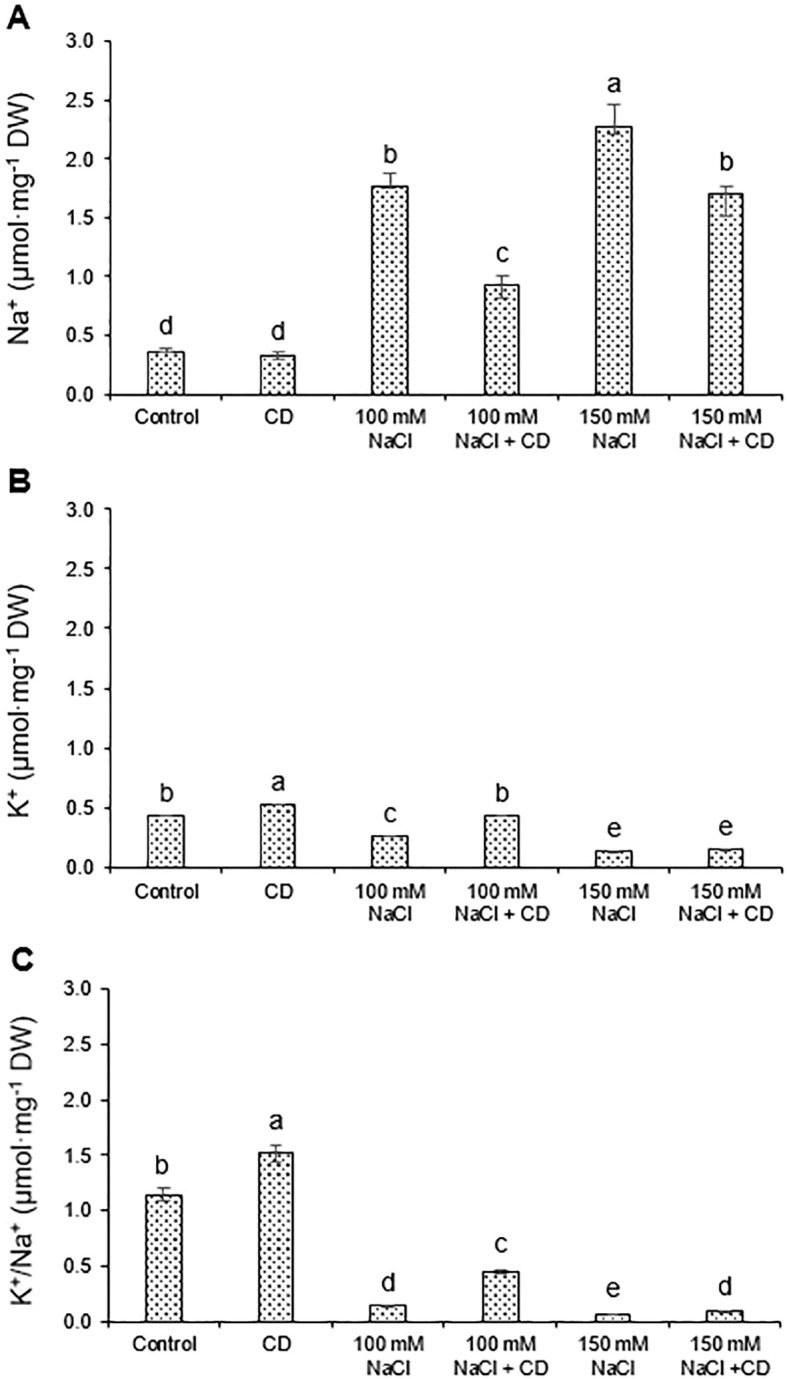Figure 6