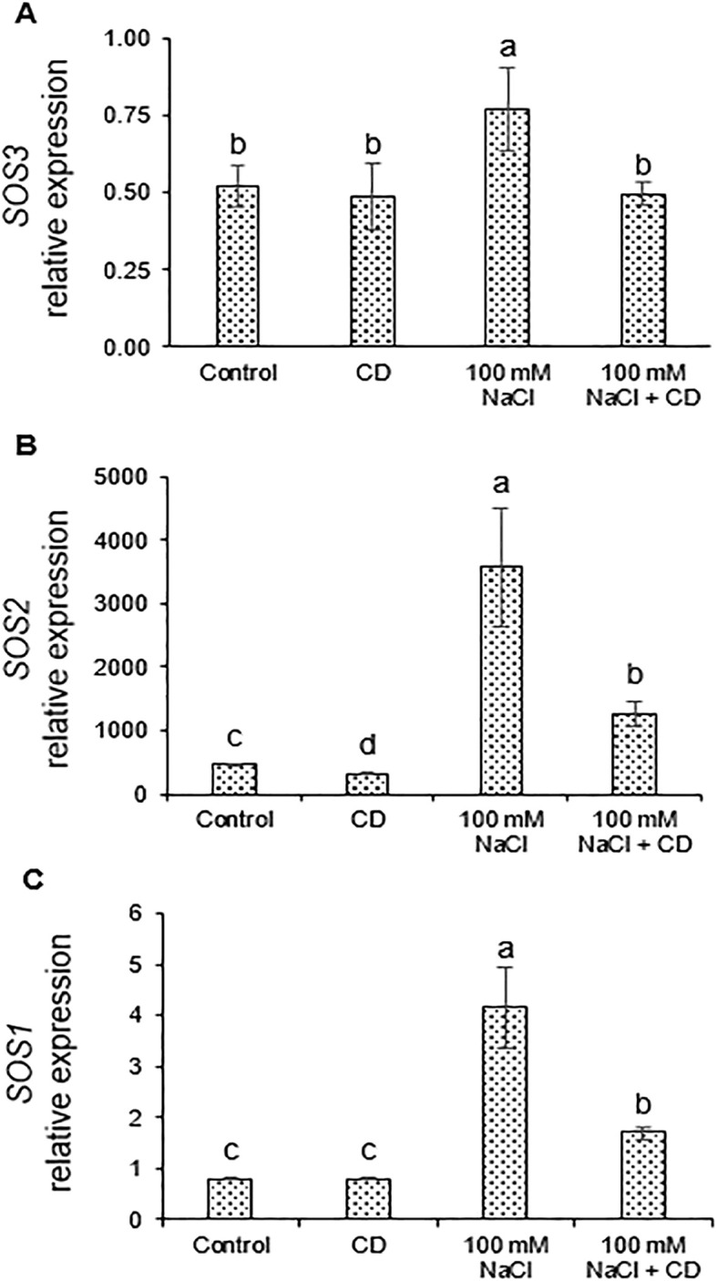 Figure 7