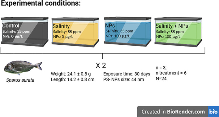 Figure 1