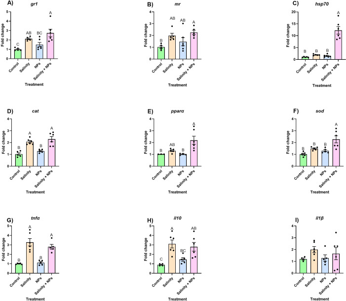 Figure 2