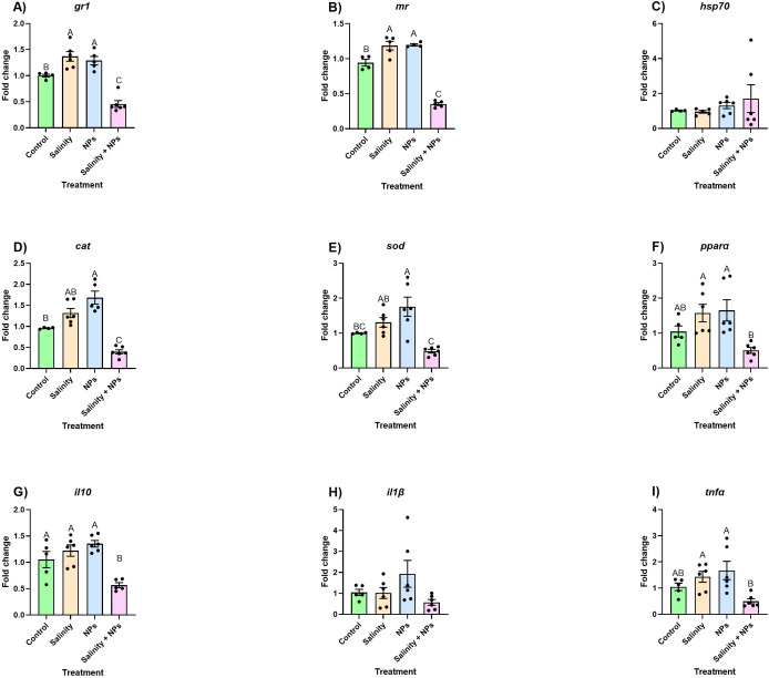 Figure 4