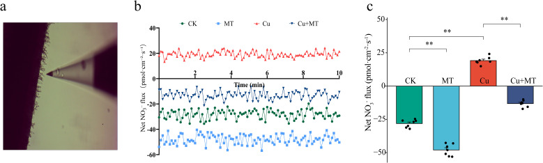 Figure 6