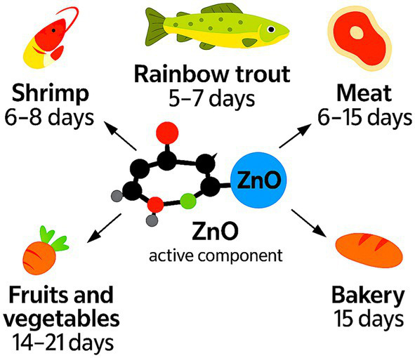 Figure 12