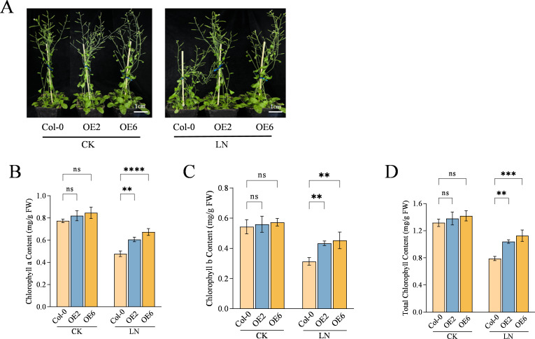 Figure 2