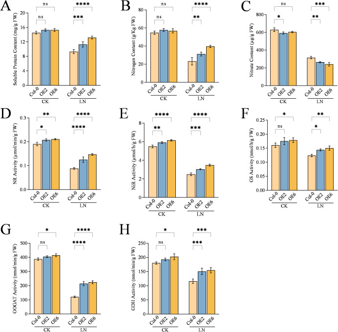 Figure 3