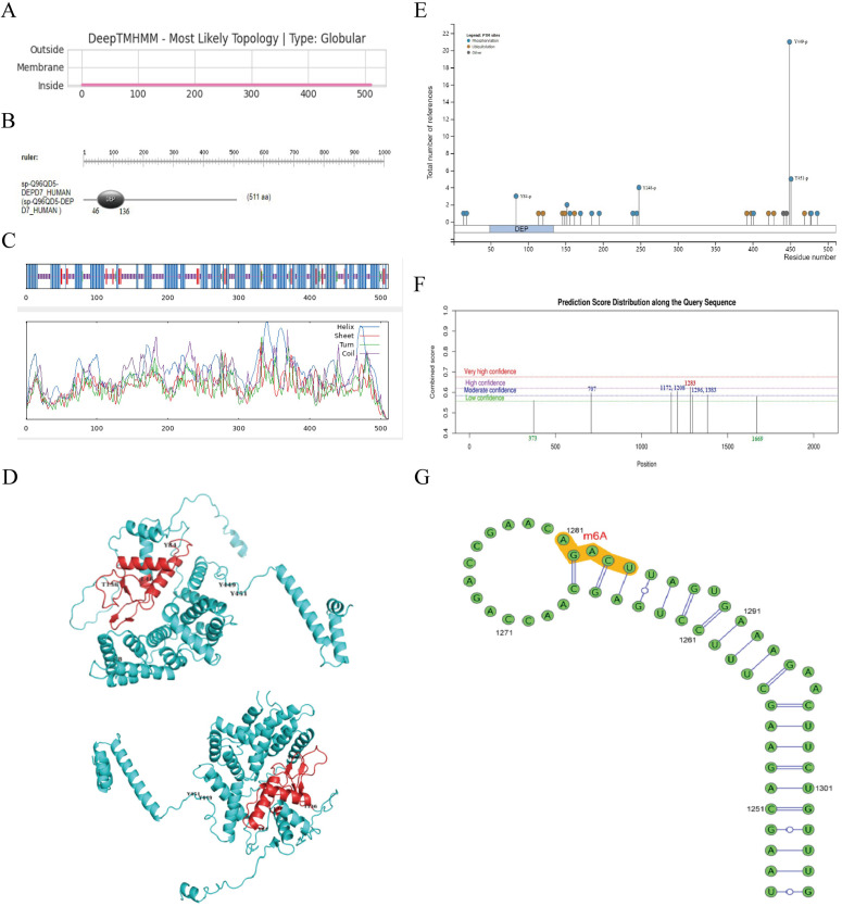Figure 2