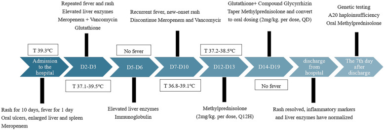 Figure 3