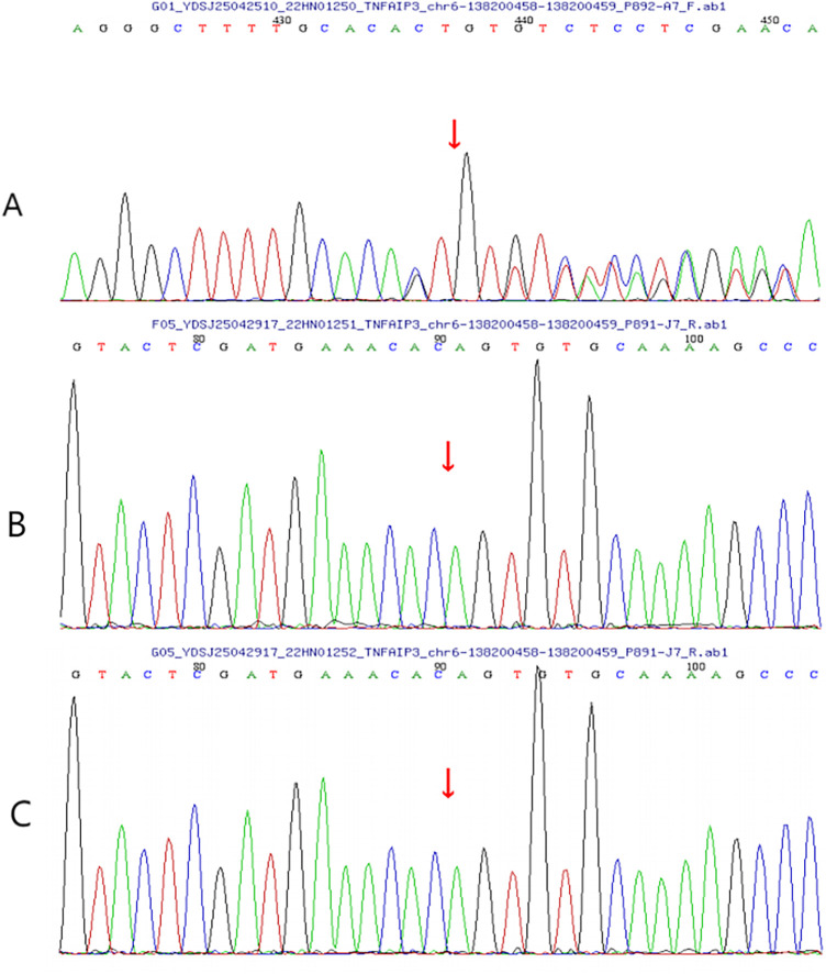 Figure 4