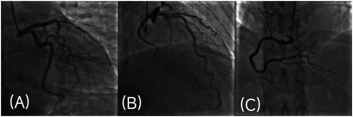 Figure 2