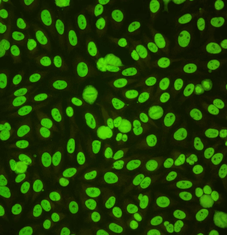 Figure 10