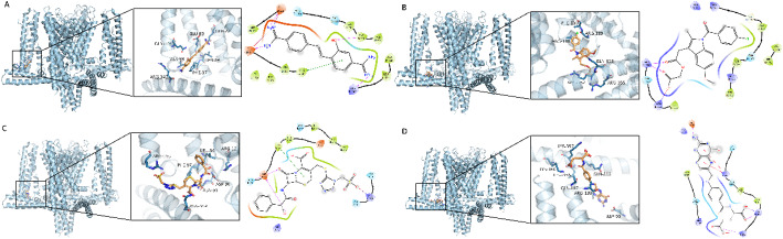 Figure 12