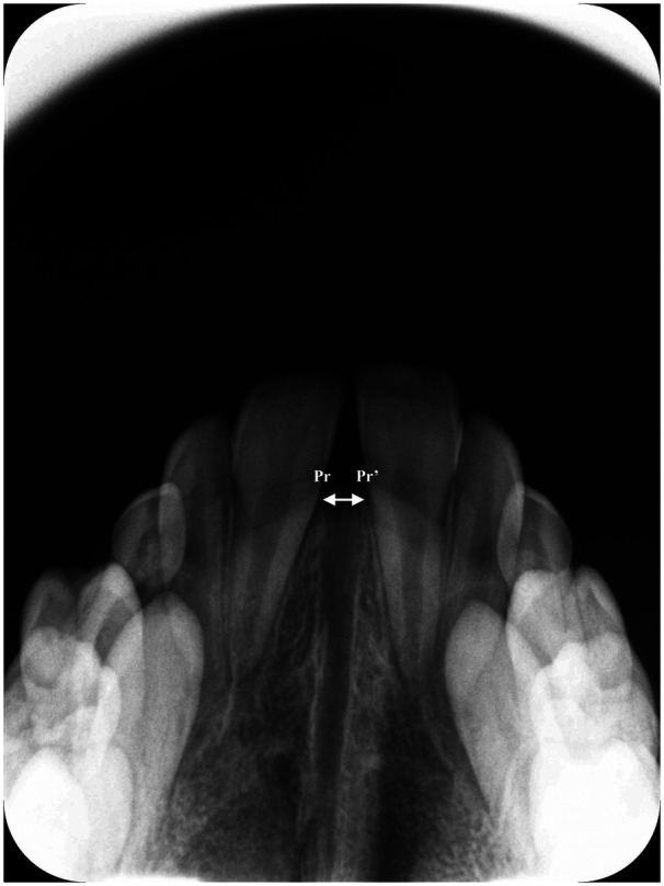 Figure 1