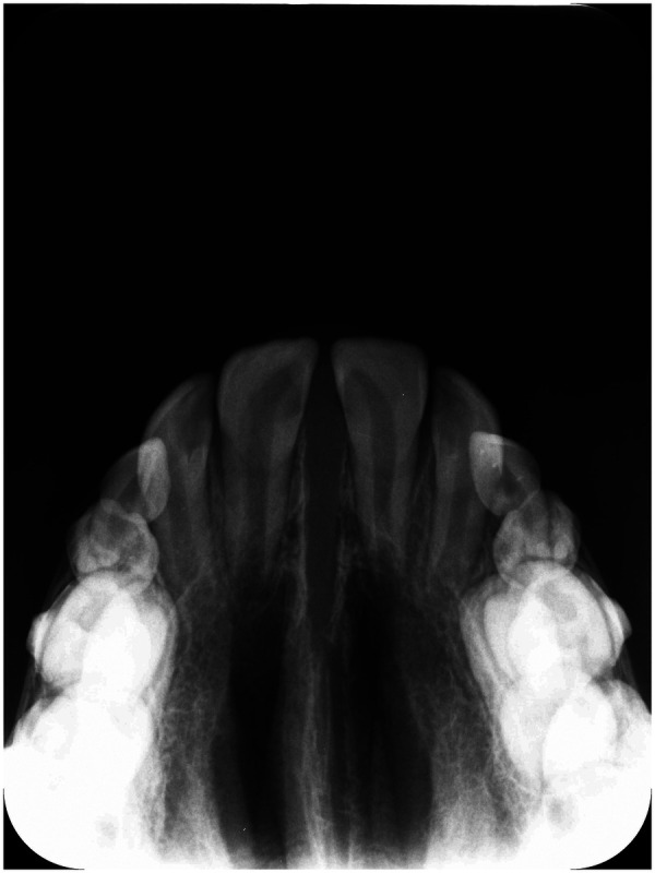 Figure 3